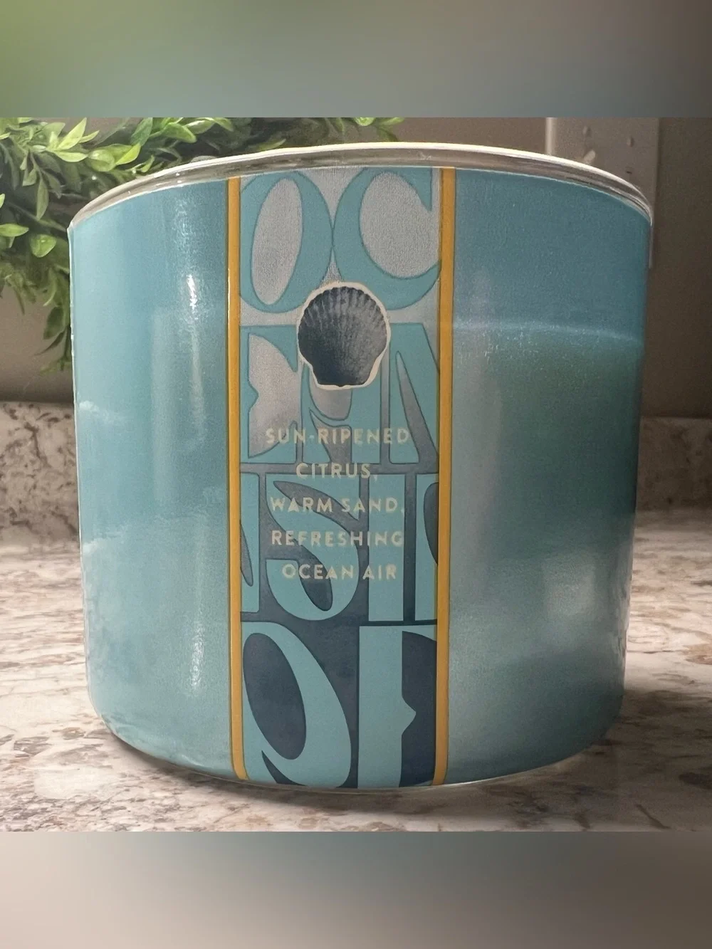 Bath & Body Works 3-Wick candles — NEW Morning Rainstorm and LIKE NEW Oceanside